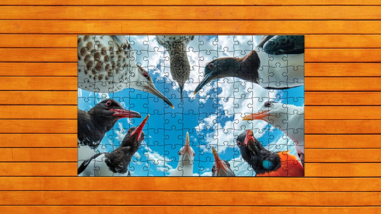 Whispers of Wings Jigsaw Puzzles — Screenshot 5