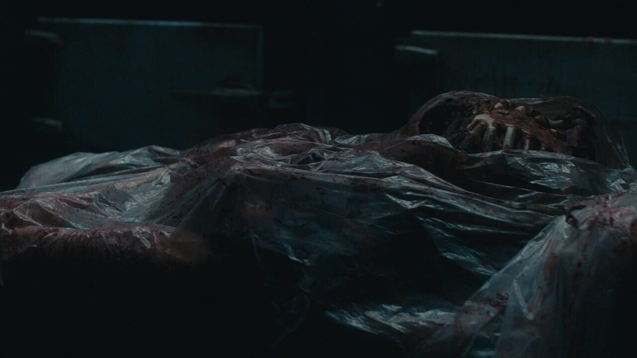 Dead Reset Image