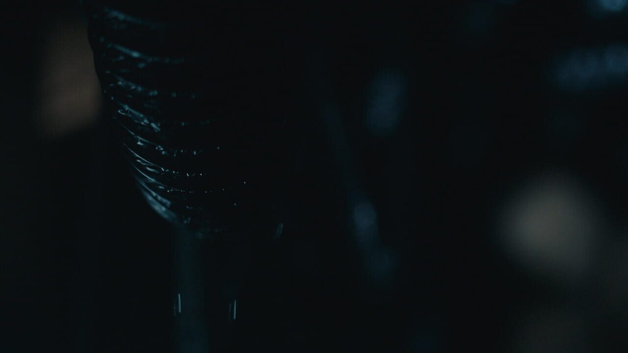 Dead Reset Image