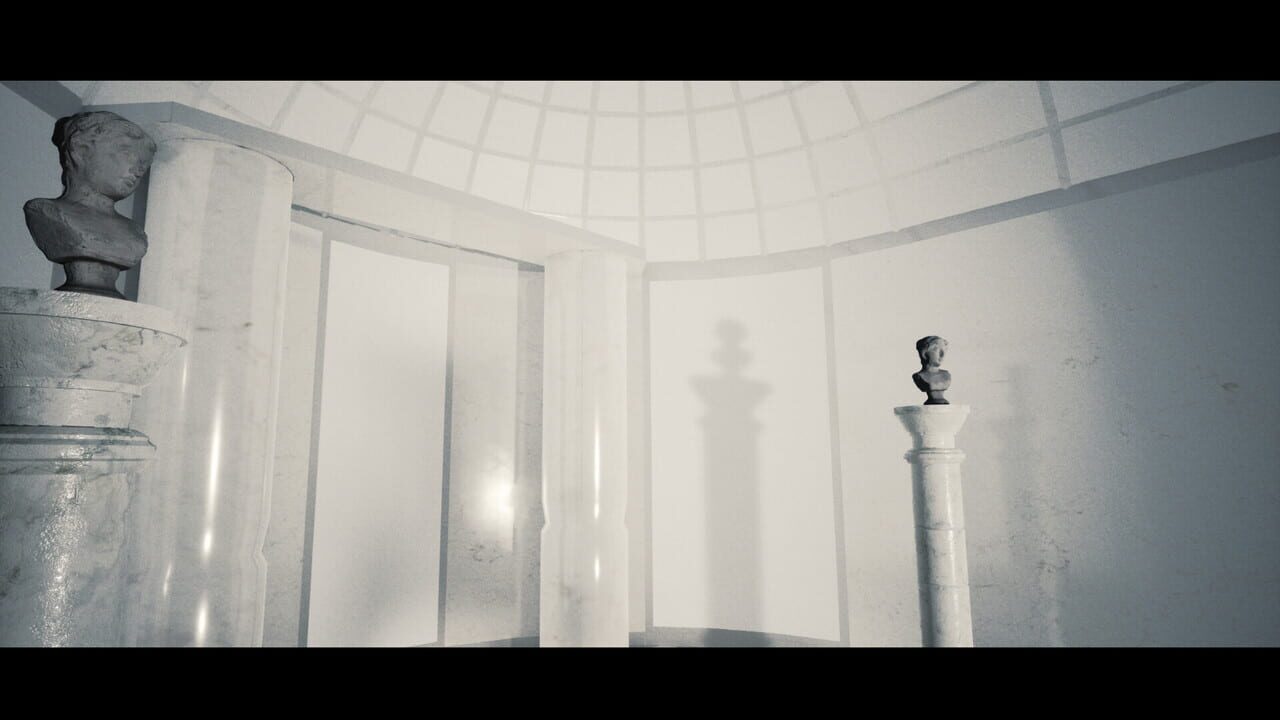 Nietzsche's Shadow Image