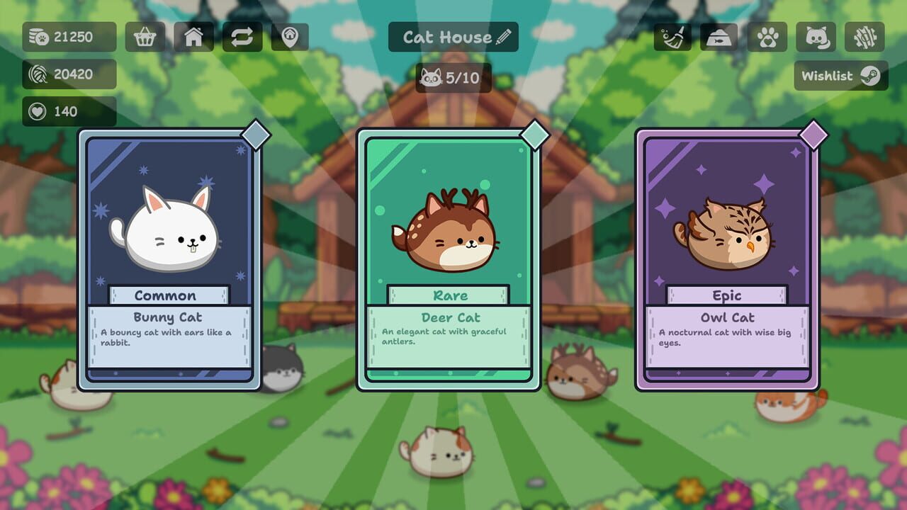 Cats are Money Image