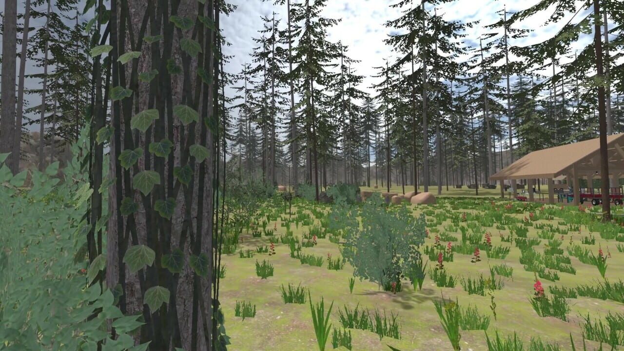 Forest Construction VR — Screenshot 2