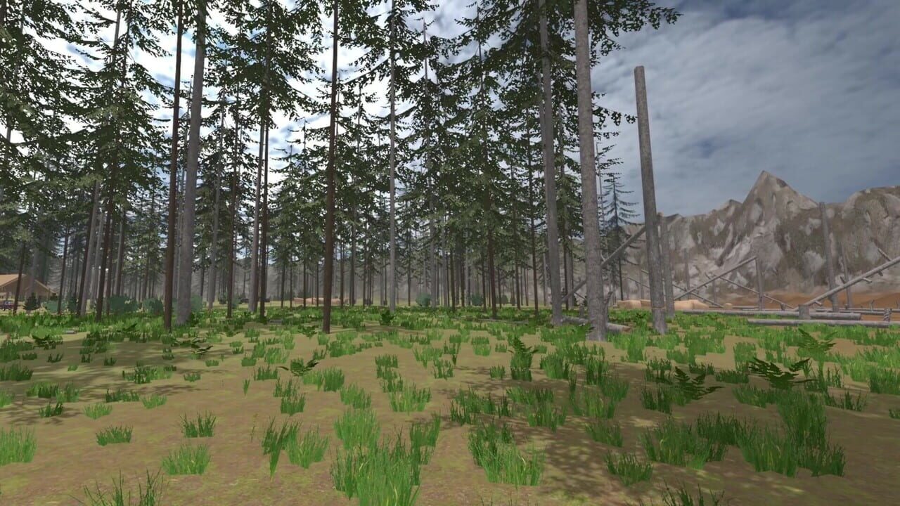 Forest Construction VR — Screenshot 3