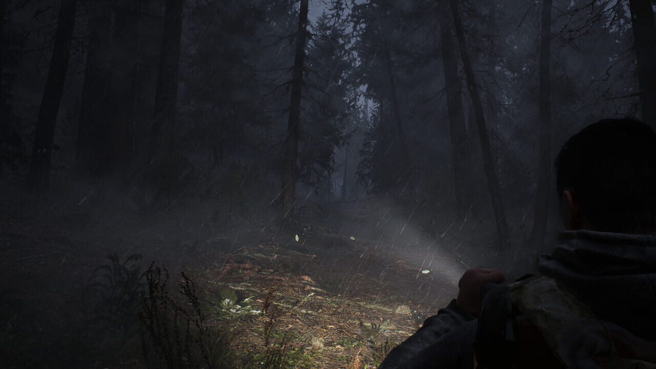 Screenshot 6 from Whispers in the Fog
