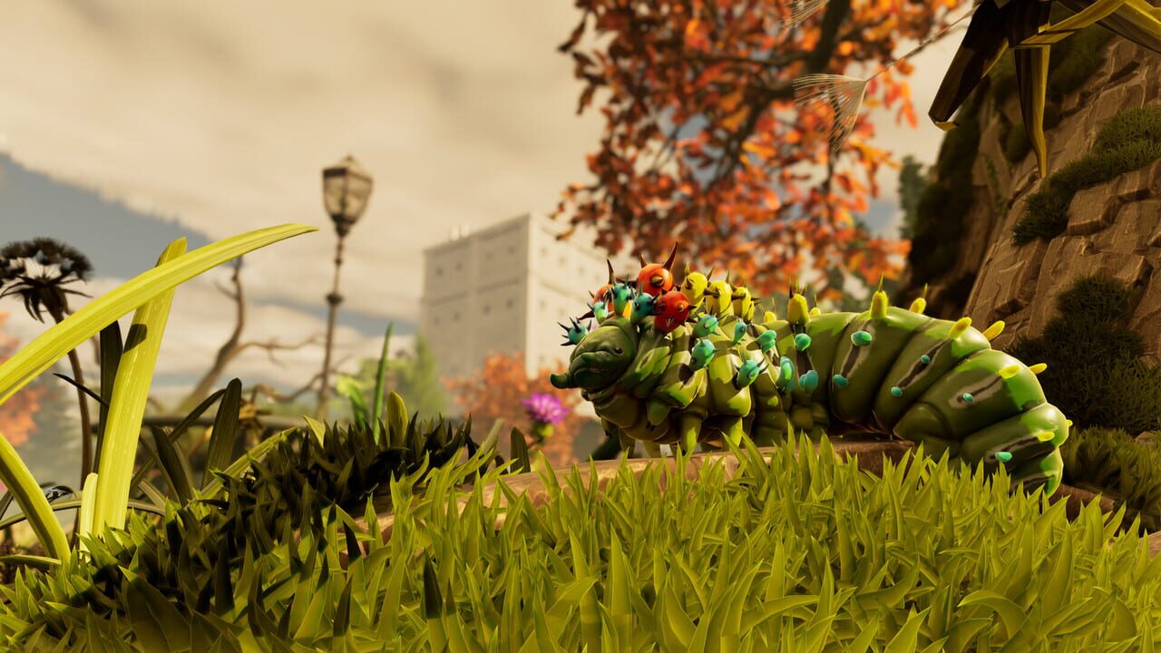 Grounded 2 Image