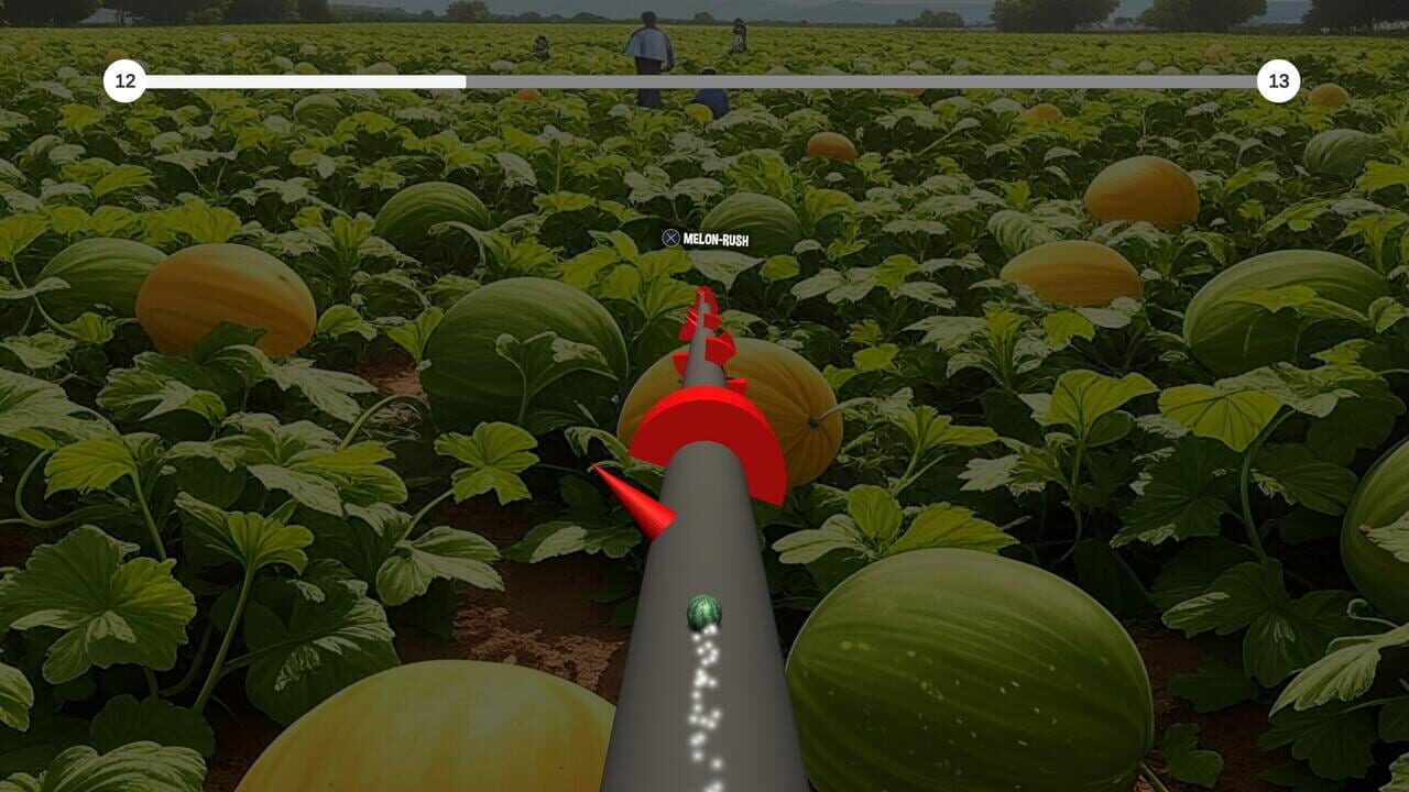 The Jumping Melon Rush 2 — Screenshot 2