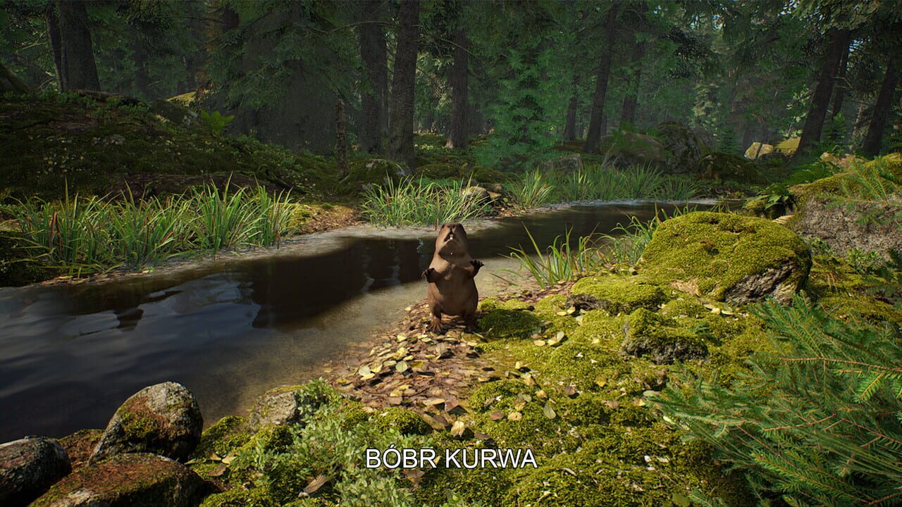 Mushroom Hunter Simulator screenshot 2