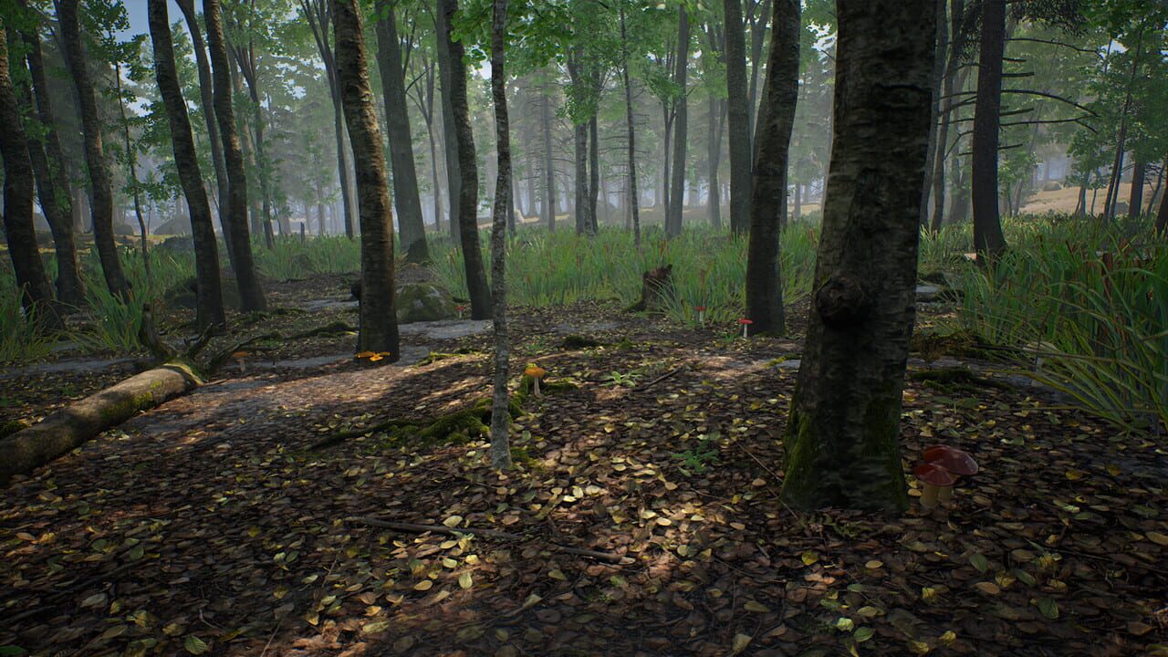 Mushroom Hunter Simulator screenshot 7