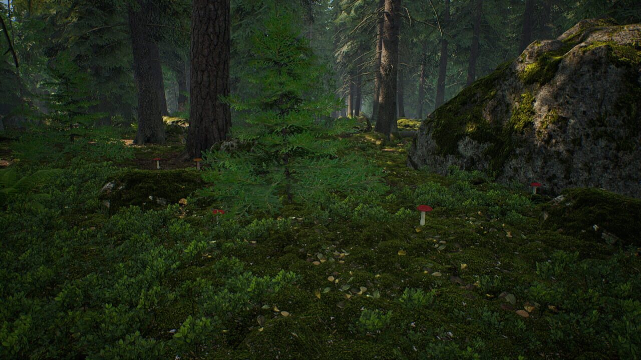 Mushroom Hunter Simulator screenshot 10