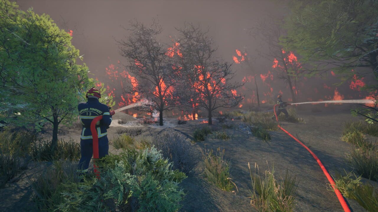 Rescue Ops: Wildfire Image