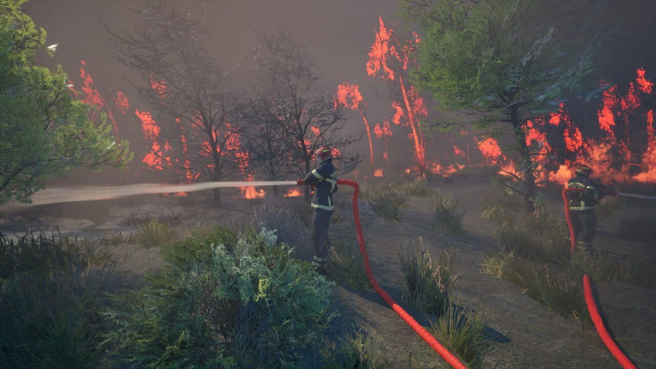 Rescue Ops: Wildfire Image