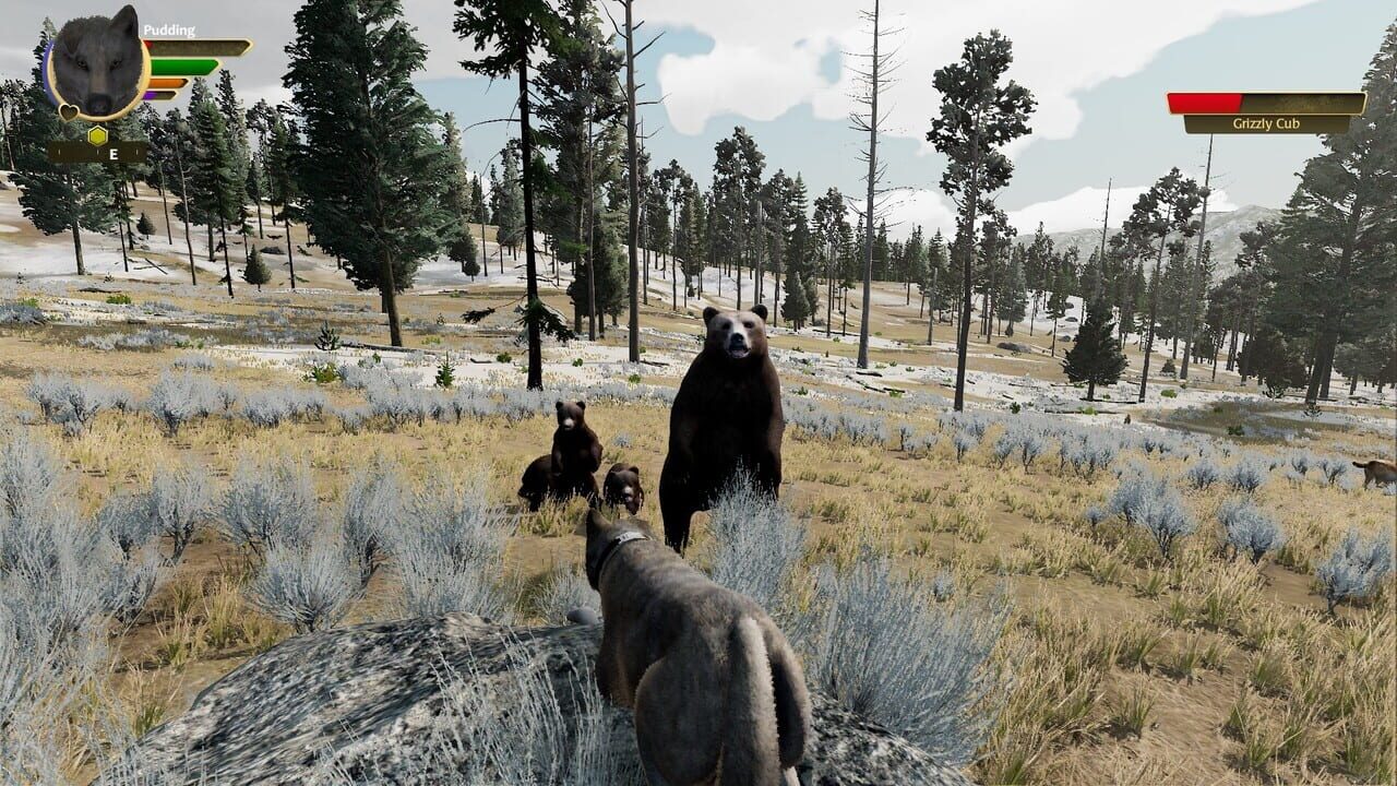 Screenshot 10