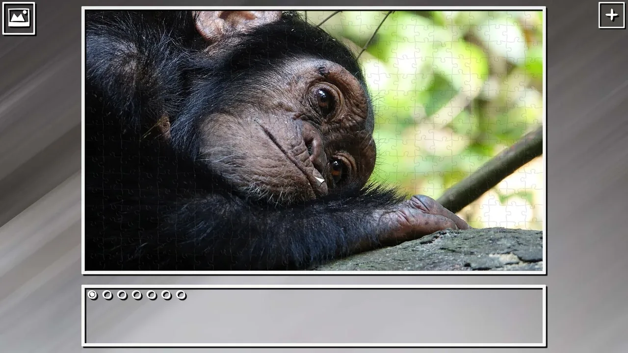 Super Jigsaw Puzzle: Generations - Monkeys & Apes Puzzles screenshot 2