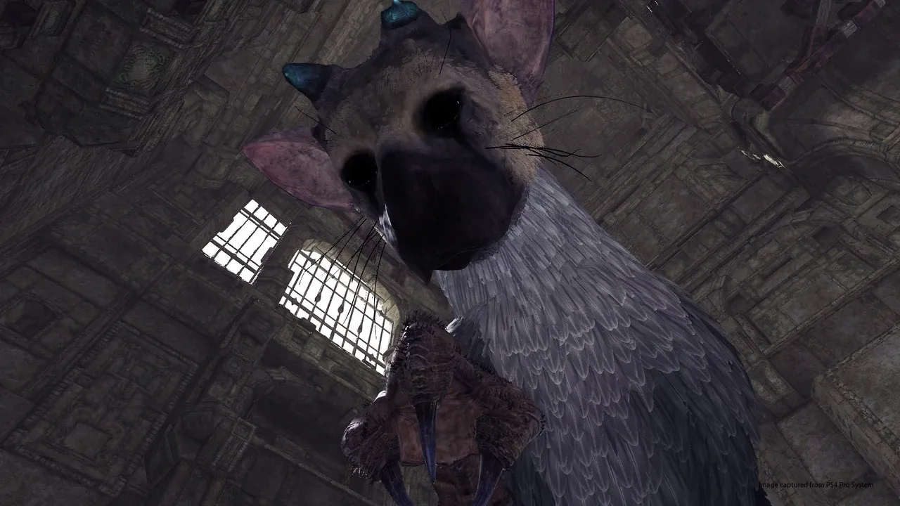 The Last Guardian VR screenshot 4