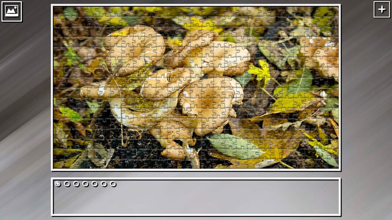 Super Jigsaw Puzzle: Generations - Forests Image