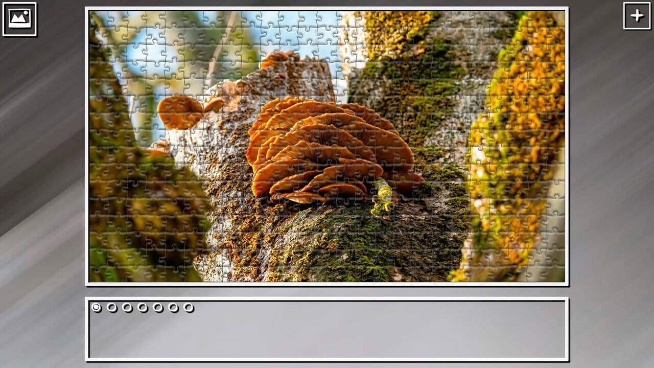 Super Jigsaw Puzzle: Generations - Forests Image