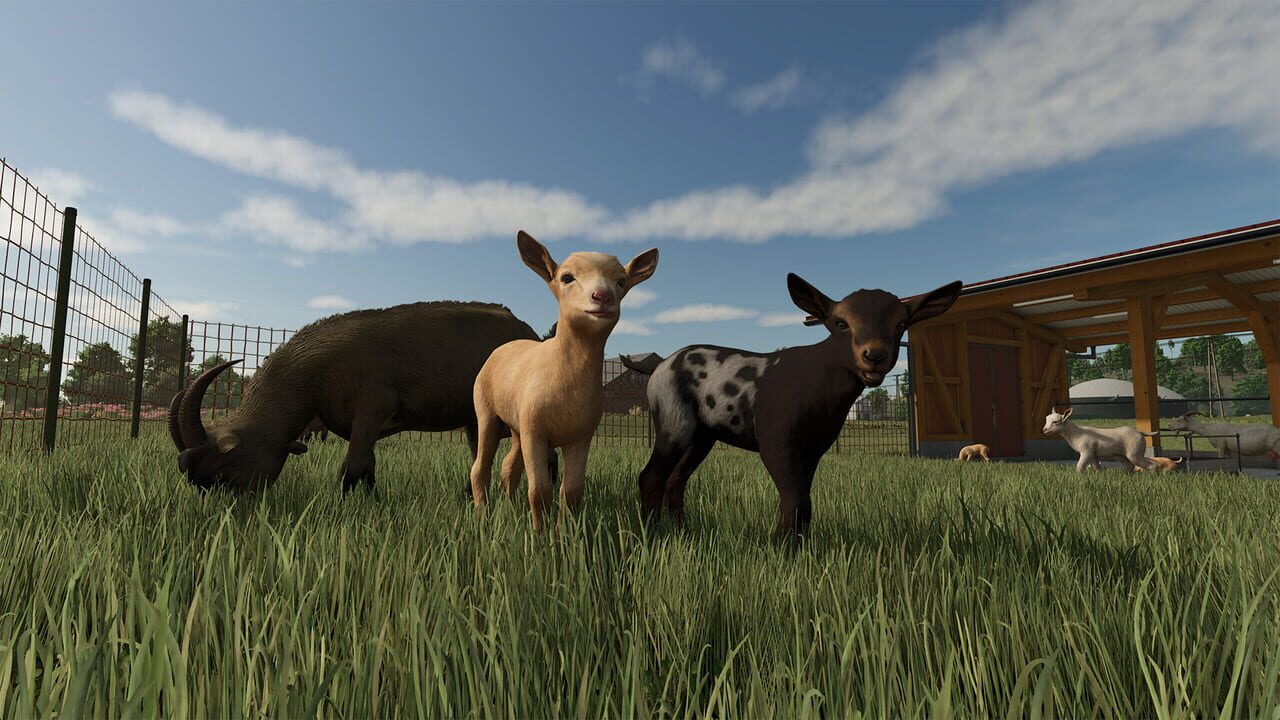 Farming Simulator 25: Highlands Fishing Edition Image
