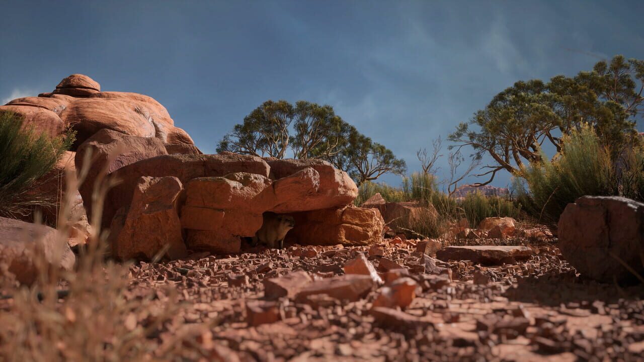 Screenshot 17