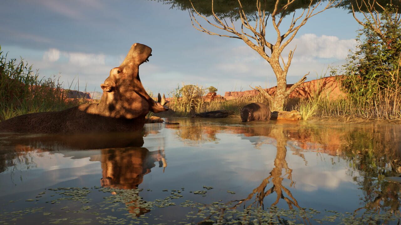 Screenshot 18