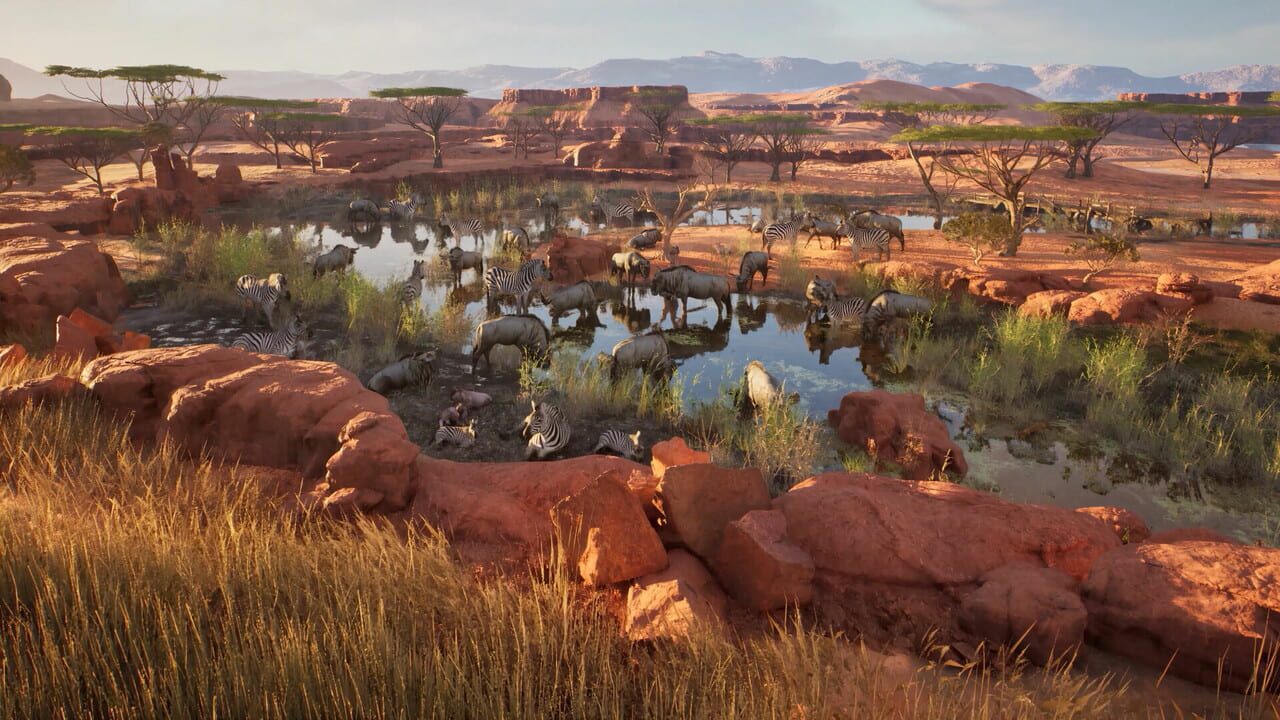 Screenshot 20
