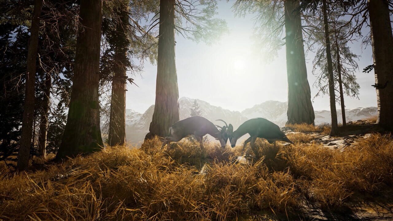 Screenshot 21