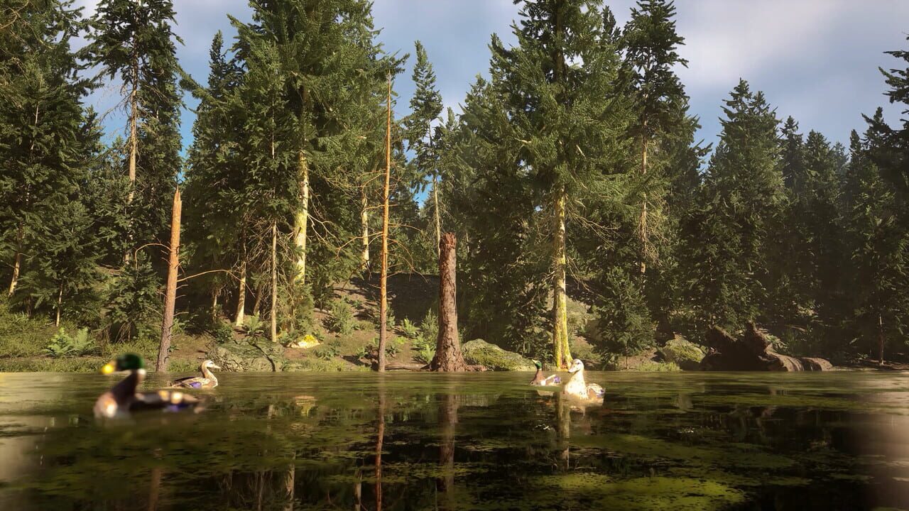 Screenshot 24