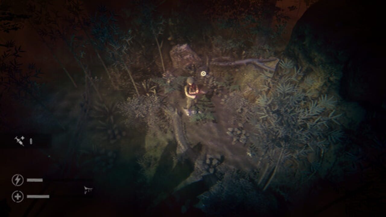 The Silent Jungle — Screenshot 3
