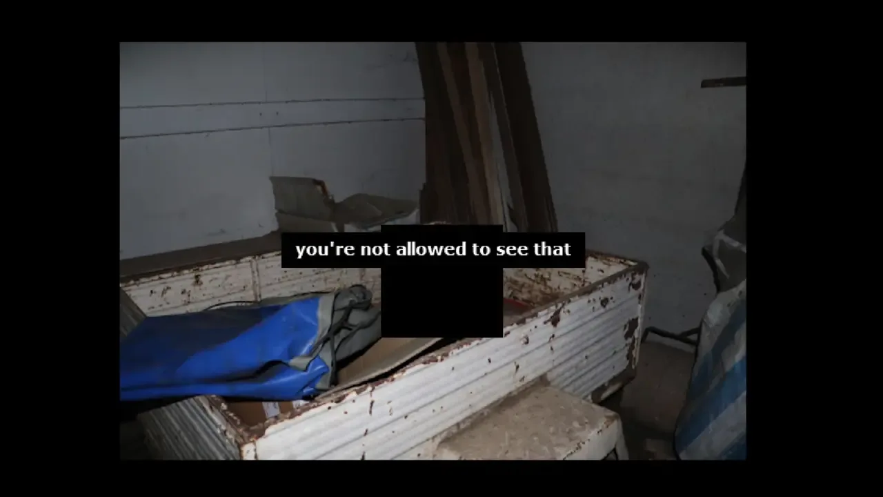 Roam0120 screenshot 2