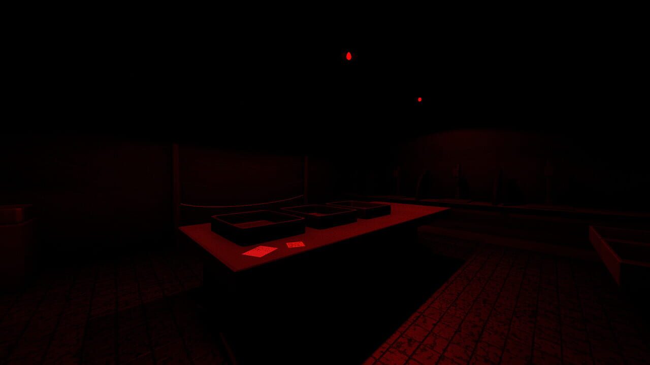 Darkroom Screenshot 1
