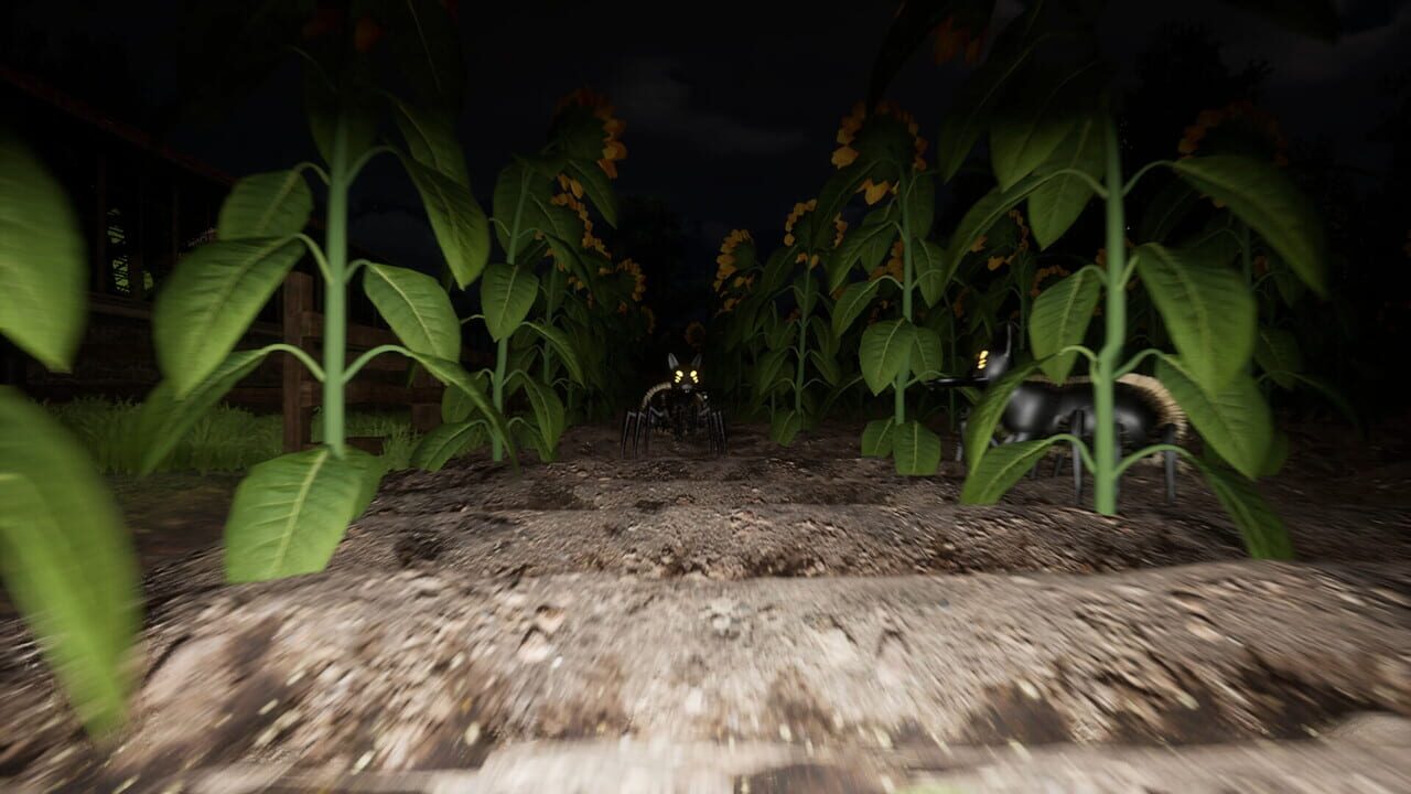 Good Boy The Long Night Image