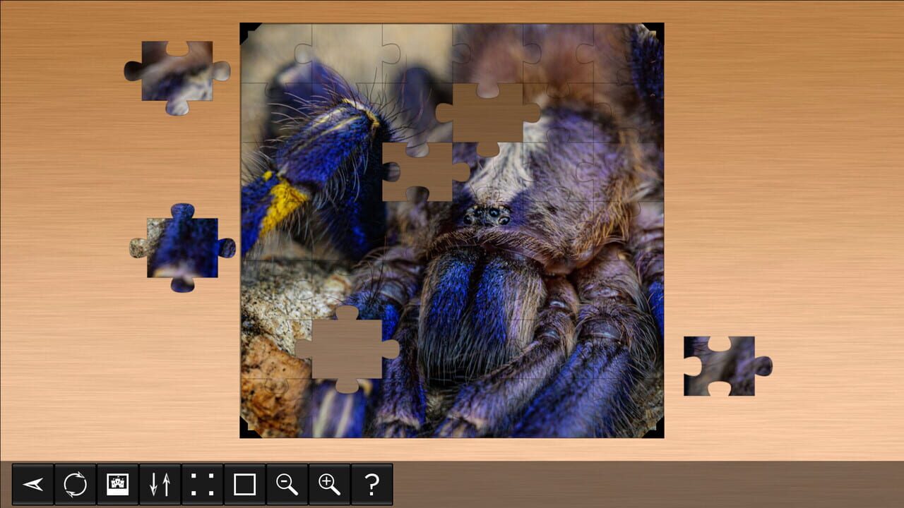 Jigsaw Puzzle World: Arachnids — Screenshot 2