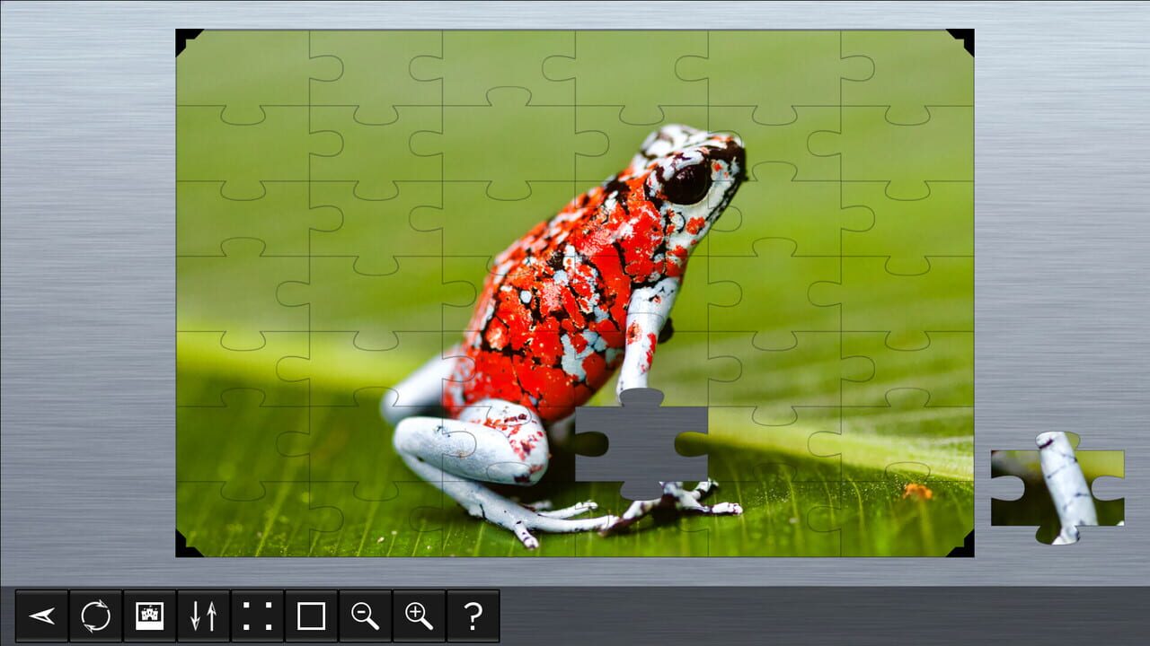 Jigsaw Puzzle World: Amphibians — Screenshot 2