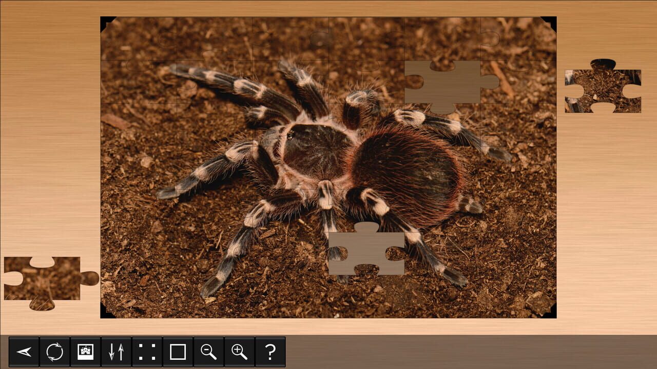 Jigsaw Puzzle World: Arachnids — Screenshot 4