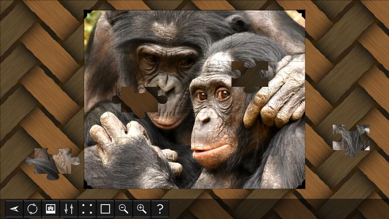 Jigsaw Puzzle World: Primates — Screenshot 3