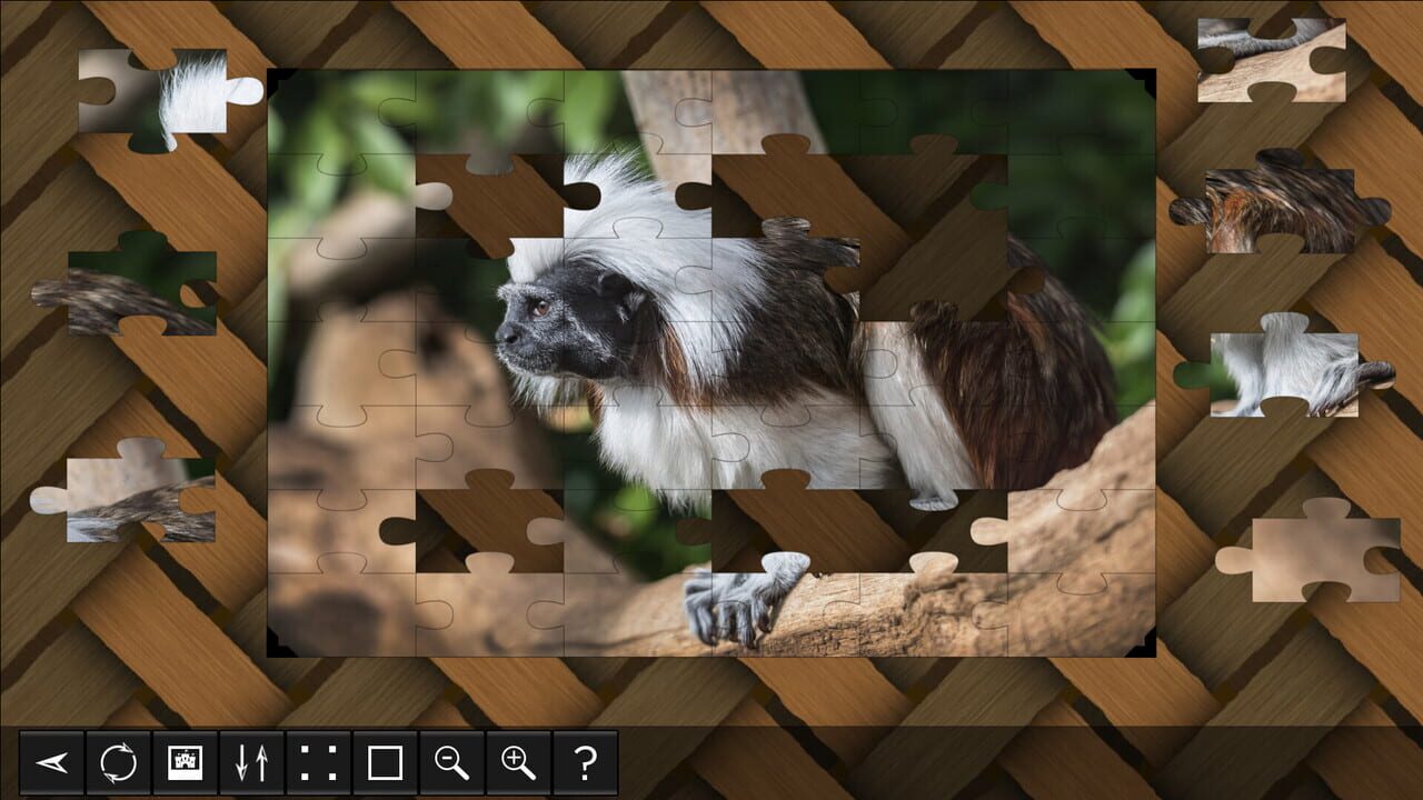 Jigsaw Puzzle World: Primates — Screenshot 4