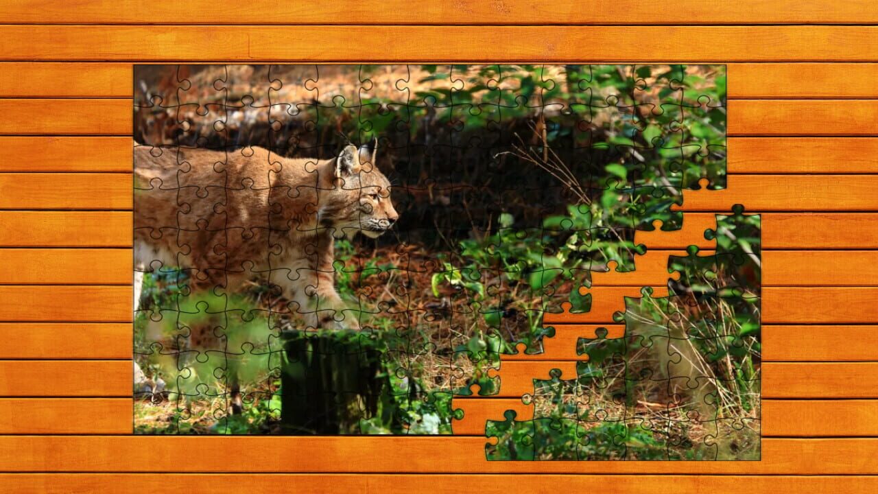 Wild Lynx Jigsaw Image