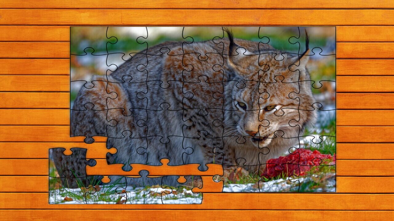 Wild Lynx Jigsaw Image