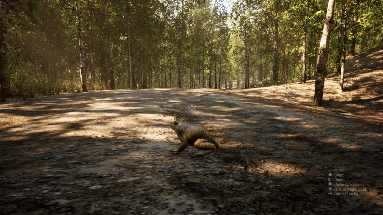 Screenshot 13