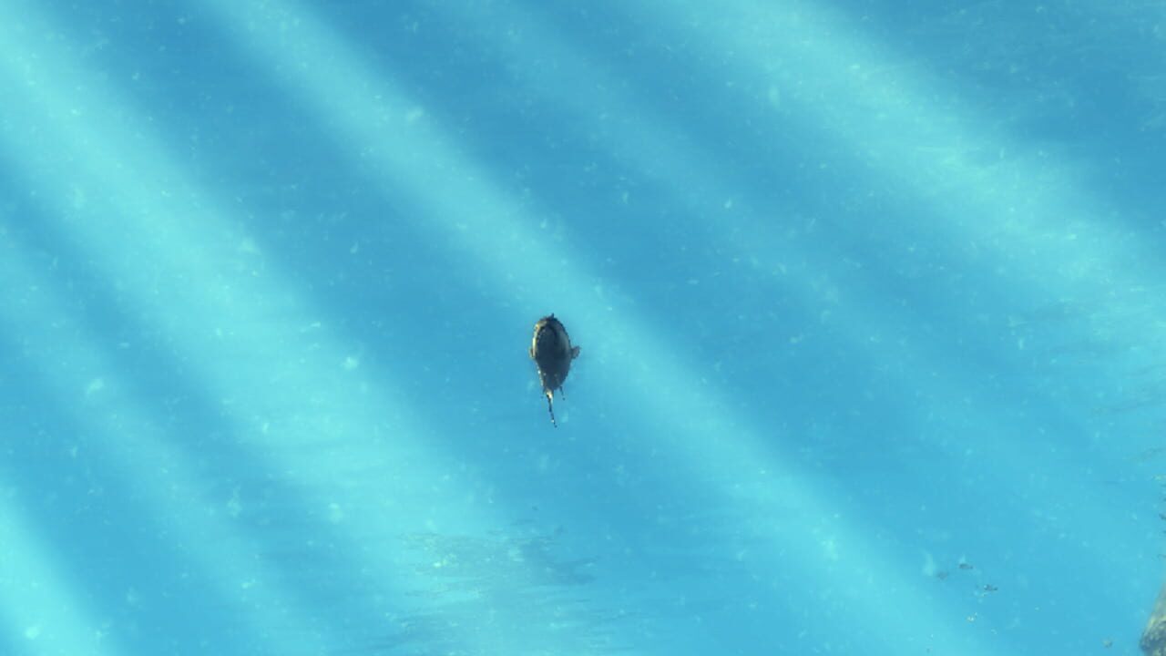 Depth Hunter — Screenshot 3