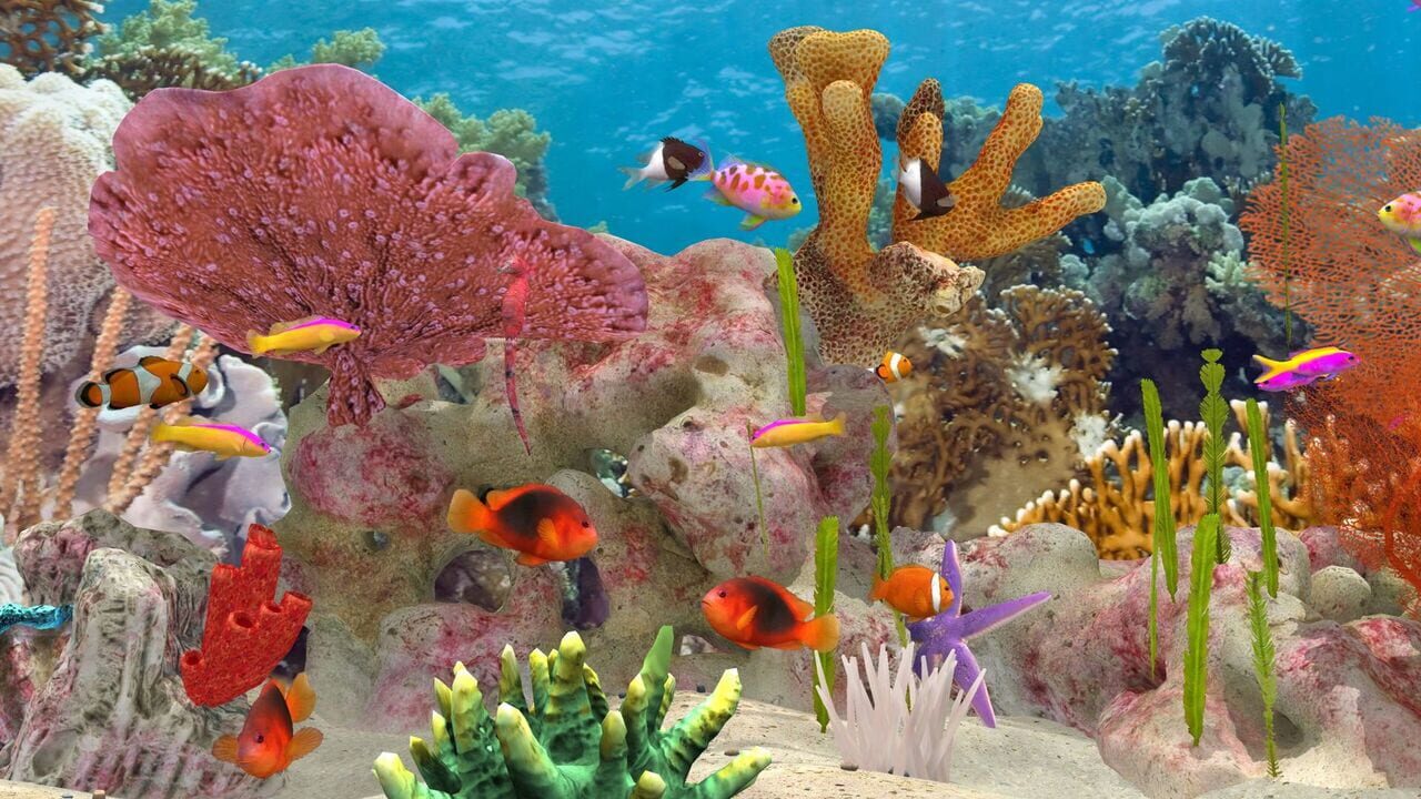 Fish Farm 3 Screenshot 1