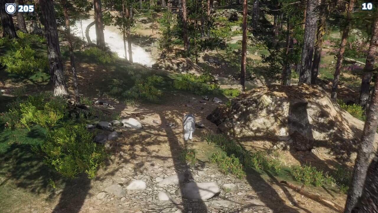 Cazzarion: Raccoon Valley — Screenshot 3