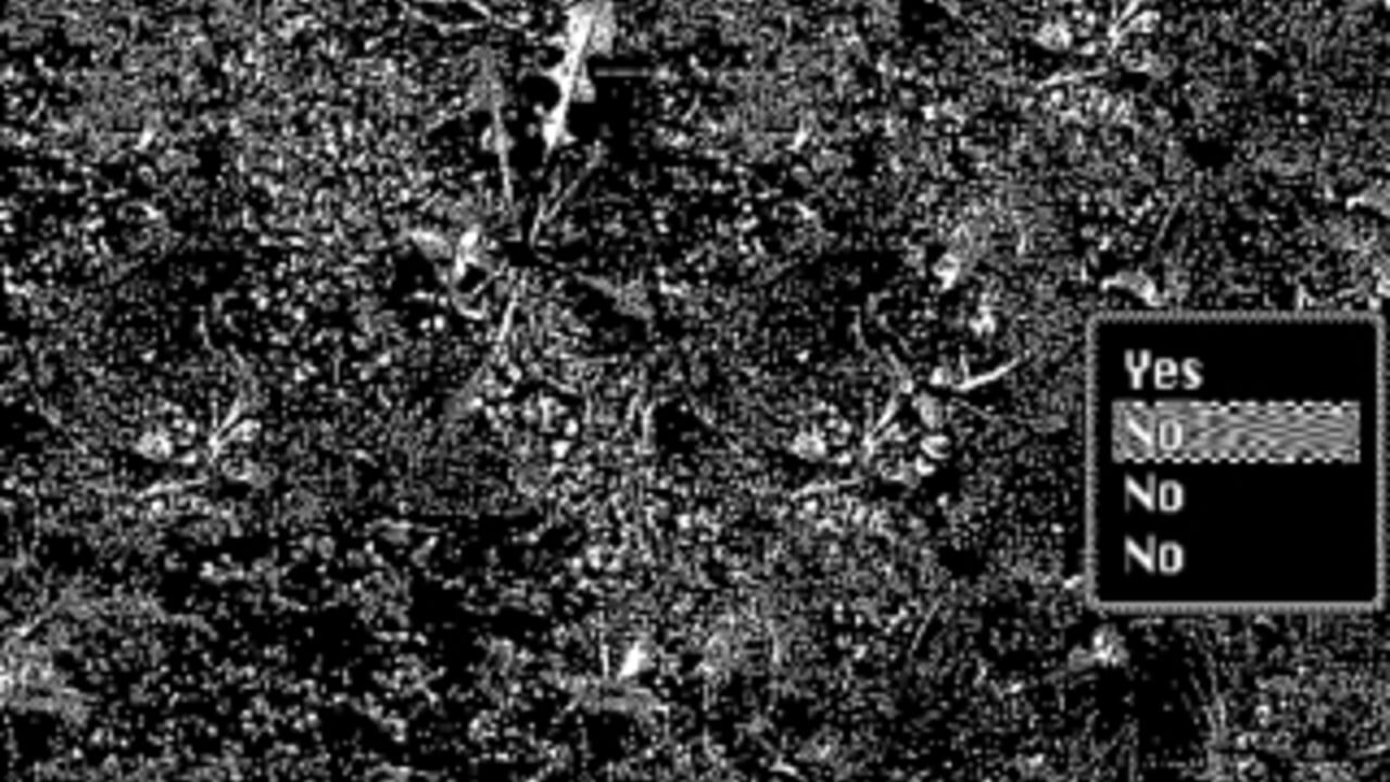 Perfect Hegemony — Screenshot 2