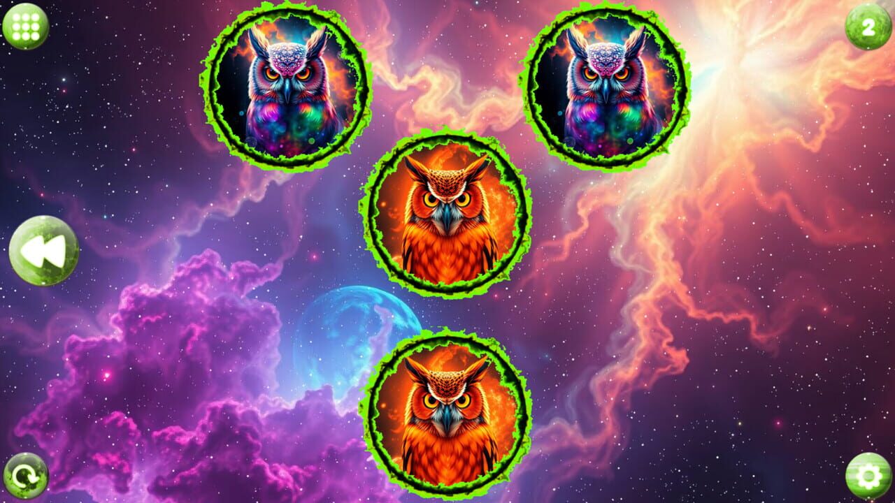 Space Memory: Owls media