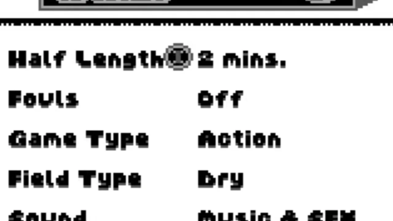 FIFA: Road to World Cup 98 screenshot 3