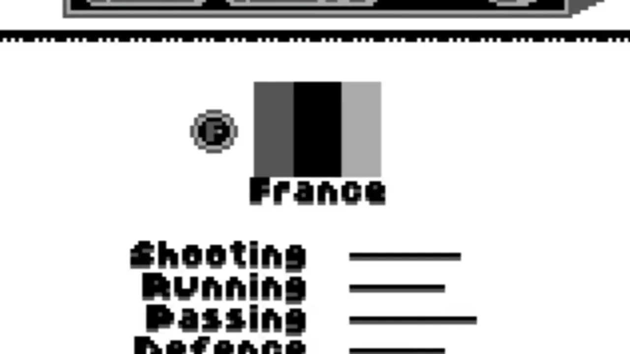 FIFA: Road to World Cup 98 screenshot 4