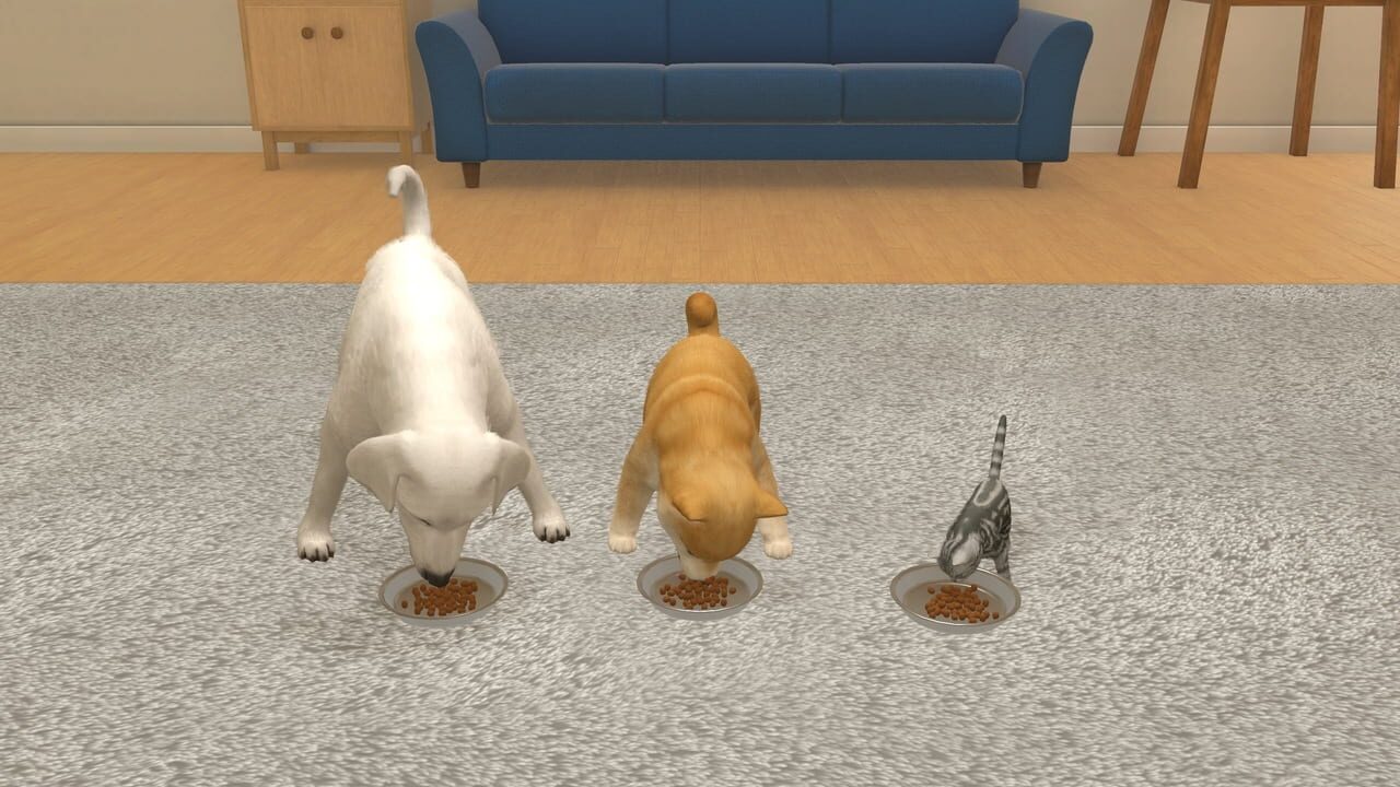 With My Buddy Screenshot 1