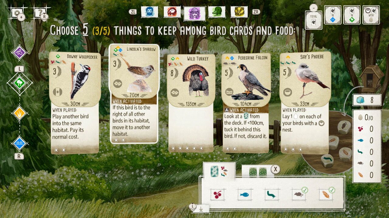 Birds and Cats Image
