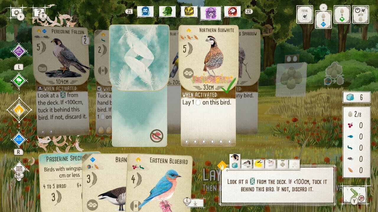 Birds and Cats Image