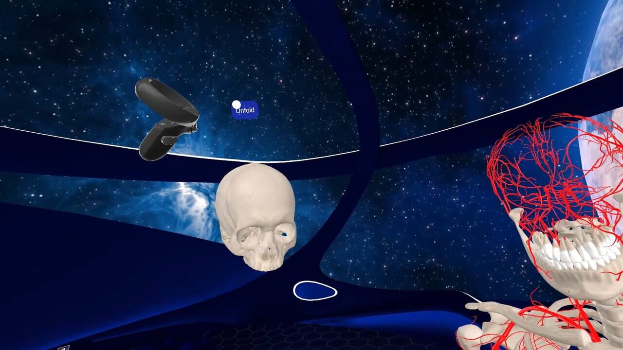 Elementary Anatomy: With Story Mode — Screenshot 3