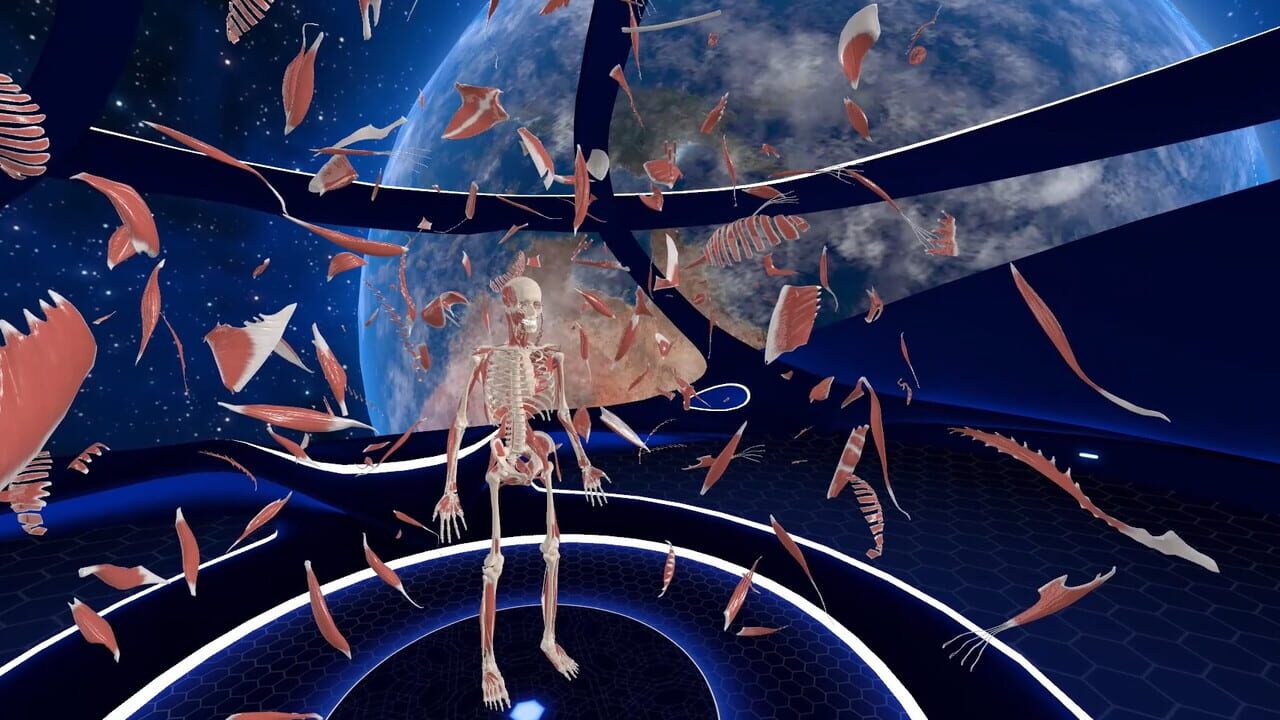 Elementary Anatomy: With Story Mode — Screenshot 2